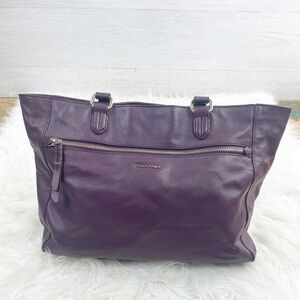 Cole Haan Purple Leather Dual Strap Handbag
